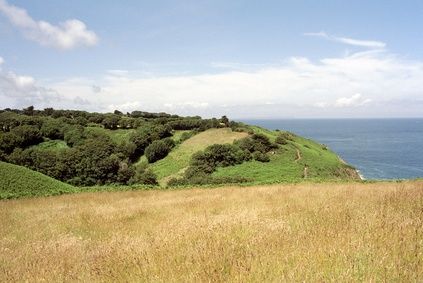 Jersey - Farben der Natur