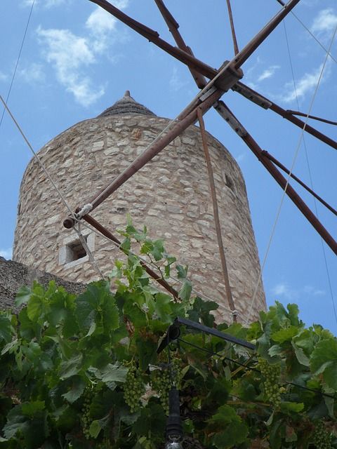 Mallorca Windmühle Wein