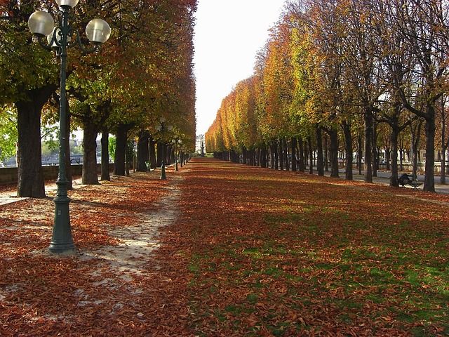 Paris im Herbst